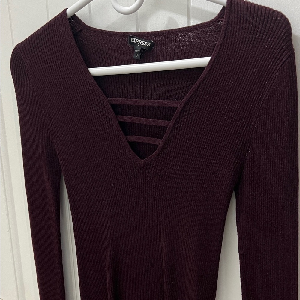 Express Long Sleeve Ribbed V-Neck shirt in shimmer Wine